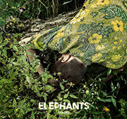 The Elephants. Colors. /, eco-pack/.